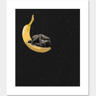 Ape on Banana Moon Posters and Art